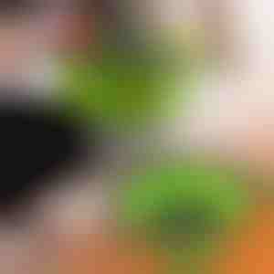 Durszlaki silikonowe (2 szt.) | FOLDRAIN