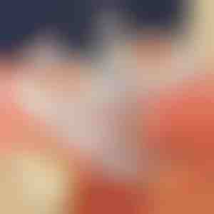 Maszynka do tworzenia pierogów | DUMPLINGPRO