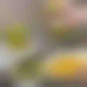 Szczotka do czyszczenia z dozownikiem i stojakiem | BRUSKICA