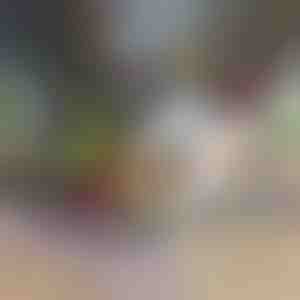 Krajalnica i siekacz do warzyw 12 w 1 (w zestawie 7 ostrzy) | CHOPMASTER