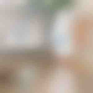 Elektryczna obrotowa szczotka czyszcząca | ROTOBRUSH