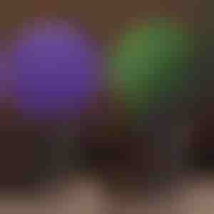 Dekoracyjna kula roślinna | TOPIORB