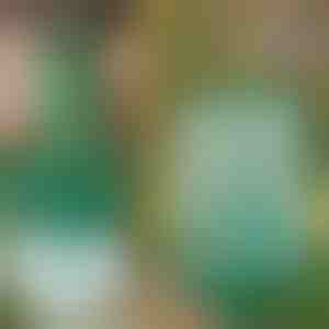 Wielokrotnego użytku wisząca pułapka na muchy do ogrodu, na taras i balkon | INSECTA