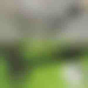 Narzędzie do usuwania chwastów na stojąco | RUNCO