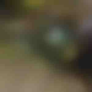 Składana taczka | TROLLYFOLD