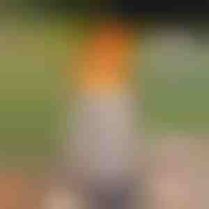 Bezdyma palenisko stołowe - prawdziwy płomień, bez dymu, do użytku wewnątrz i na zewnątrz | FIRENOVA