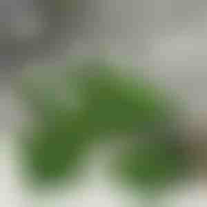 Płytki ze sztucznej trawy do dekoracji (5 szt.) | GRASSTILE